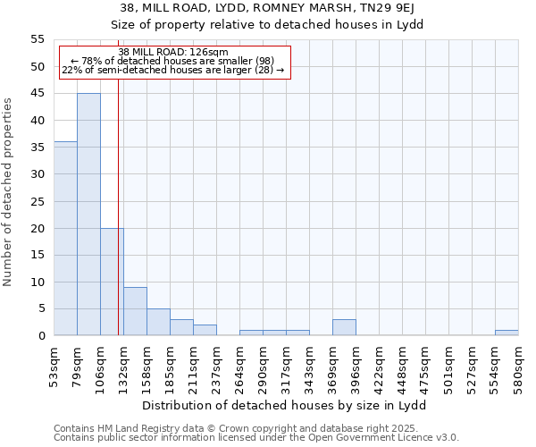 38, MILL ROAD, LYDD, ROMNEY MARSH, TN29 9EJ: Size of property relative to detached houses in Lydd