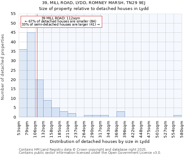 39, MILL ROAD, LYDD, ROMNEY MARSH, TN29 9EJ: Size of property relative to detached houses in Lydd