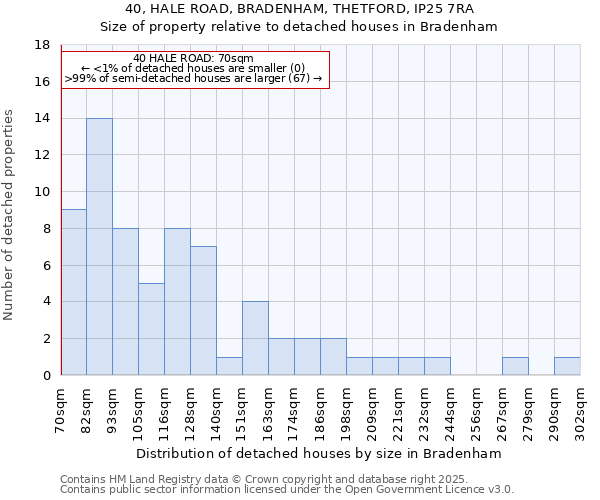 40, HALE ROAD, BRADENHAM, THETFORD, IP25 7RA: Size of property relative to detached houses in Bradenham