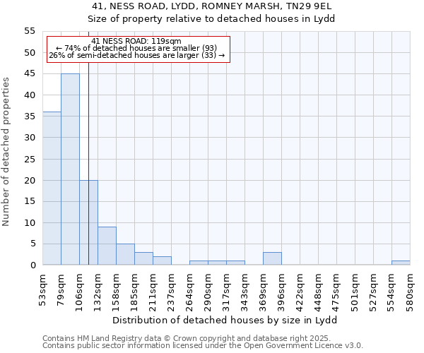 41, NESS ROAD, LYDD, ROMNEY MARSH, TN29 9EL: Size of property relative to detached houses in Lydd