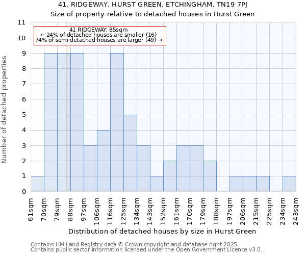 41, RIDGEWAY, HURST GREEN, ETCHINGHAM, TN19 7PJ: Size of property relative to detached houses in Hurst Green