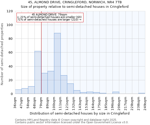 45, ALMOND DRIVE, CRINGLEFORD, NORWICH, NR4 7TB: Size of property relative to detached houses in Cringleford