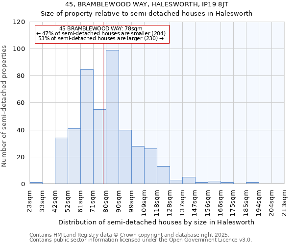 45, BRAMBLEWOOD WAY, HALESWORTH, IP19 8JT: Size of property relative to detached houses in Halesworth