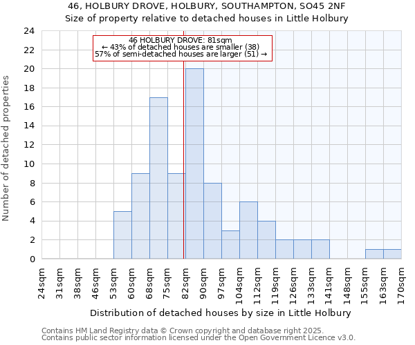 46, HOLBURY DROVE, HOLBURY, SOUTHAMPTON, SO45 2NF: Size of property relative to detached houses in Little Holbury