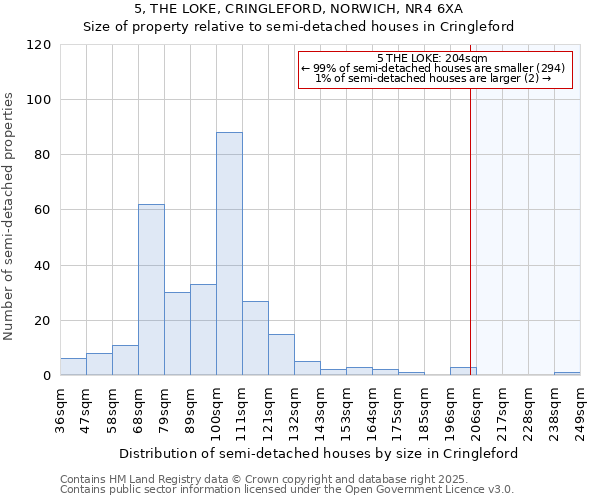 5, THE LOKE, CRINGLEFORD, NORWICH, NR4 6XA: Size of property relative to detached houses in Cringleford