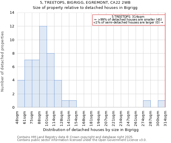 5, TREETOPS, BIGRIGG, EGREMONT, CA22 2WB: Size of property relative to detached houses in Bigrigg