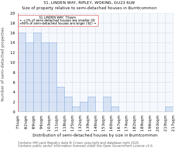 51, LINDEN WAY, RIPLEY, WOKING, GU23 6LW: Size of property relative to detached houses in Burntcommon