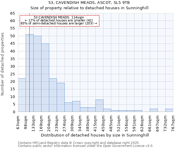 53, CAVENDISH MEADS, ASCOT, SL5 9TB: Size of property relative to detached houses in Sunninghill