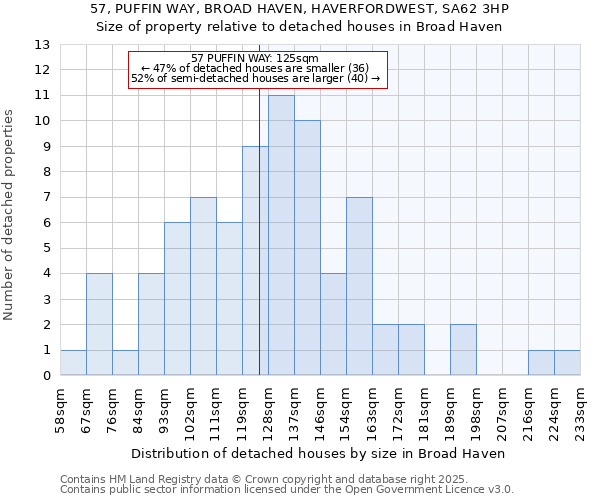 57, PUFFIN WAY, BROAD HAVEN, HAVERFORDWEST, SA62 3HP: Size of property relative to detached houses in Broad Haven