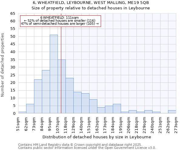 6, WHEATFIELD, LEYBOURNE, WEST MALLING, ME19 5QB: Size of property relative to detached houses in Leybourne