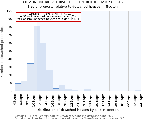 60, ADMIRAL BIGGS DRIVE, TREETON, ROTHERHAM, S60 5TS: Size of property relative to detached houses in Treeton