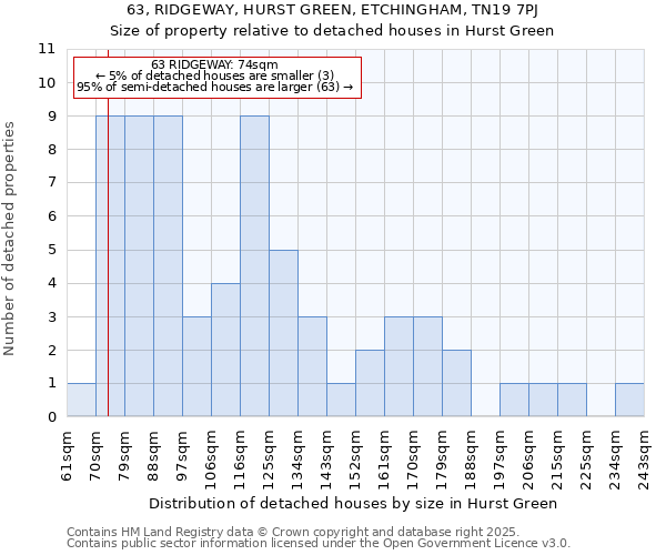 63, RIDGEWAY, HURST GREEN, ETCHINGHAM, TN19 7PJ: Size of property relative to detached houses in Hurst Green