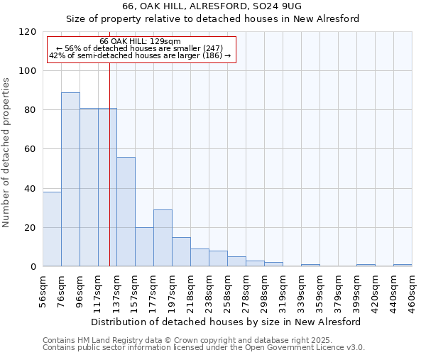 66, OAK HILL, ALRESFORD, SO24 9UG: Size of property relative to detached houses in New Alresford