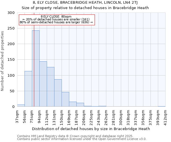 8, ELY CLOSE, BRACEBRIDGE HEATH, LINCOLN, LN4 2TJ: Size of property relative to detached houses in Bracebridge Heath