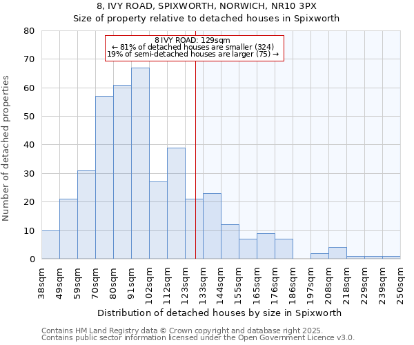 8, IVY ROAD, SPIXWORTH, NORWICH, NR10 3PX: Size of property relative to detached houses in Spixworth