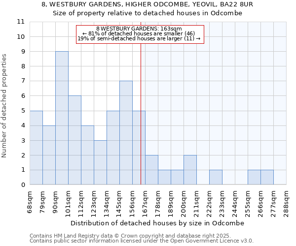 8, WESTBURY GARDENS, HIGHER ODCOMBE, YEOVIL, BA22 8UR: Size of property relative to detached houses in Odcombe