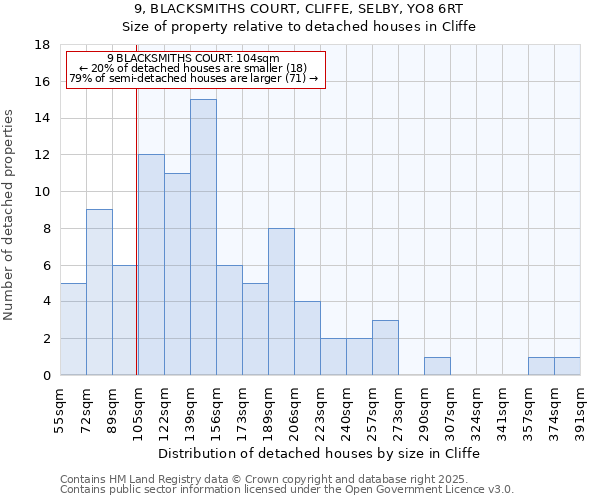 9, BLACKSMITHS COURT, CLIFFE, SELBY, YO8 6RT: Size of property relative to detached houses in Cliffe