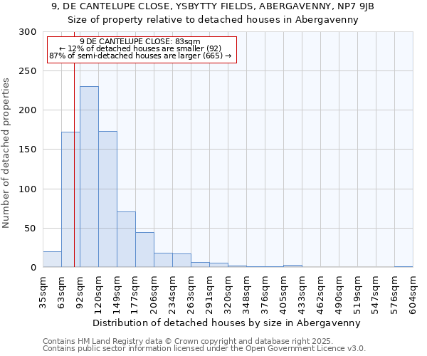 9, DE CANTELUPE CLOSE, YSBYTTY FIELDS, ABERGAVENNY, NP7 9JB: Size of property relative to detached houses in Abergavenny