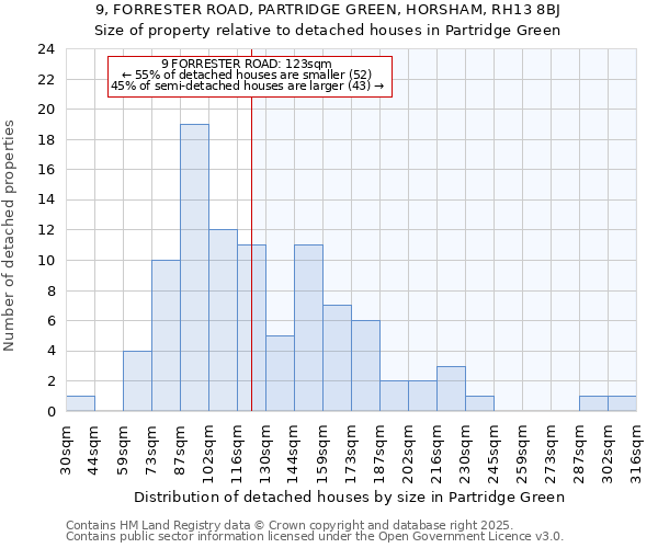 9, FORRESTER ROAD, PARTRIDGE GREEN, HORSHAM, RH13 8BJ: Size of property relative to detached houses in Partridge Green