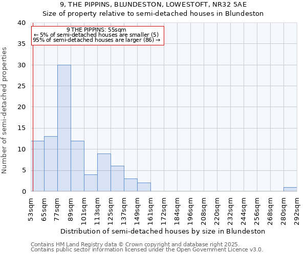 9, THE PIPPINS, BLUNDESTON, LOWESTOFT, NR32 5AE: Size of property relative to detached houses in Blundeston