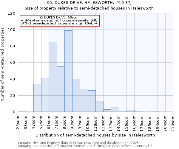 95, DUKES DRIVE, HALESWORTH, IP19 8TJ: Size of property relative to detached houses in Halesworth