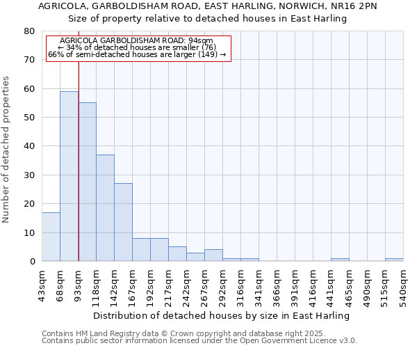 AGRICOLA, GARBOLDISHAM ROAD, EAST HARLING, NORWICH, NR16 2PN: Size of property relative to detached houses in East Harling