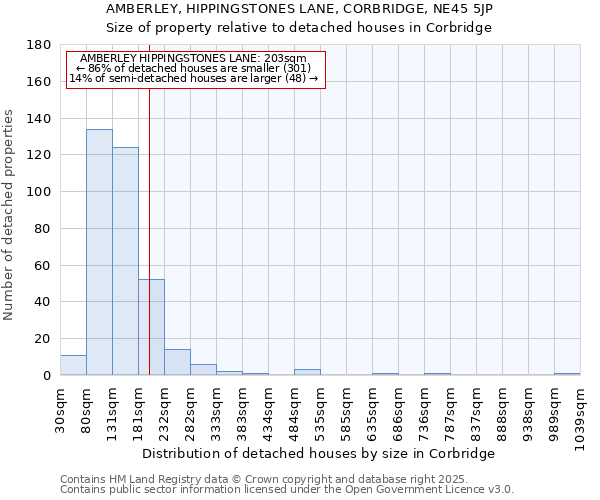 AMBERLEY, HIPPINGSTONES LANE, CORBRIDGE, NE45 5JP: Size of property relative to detached houses in Corbridge