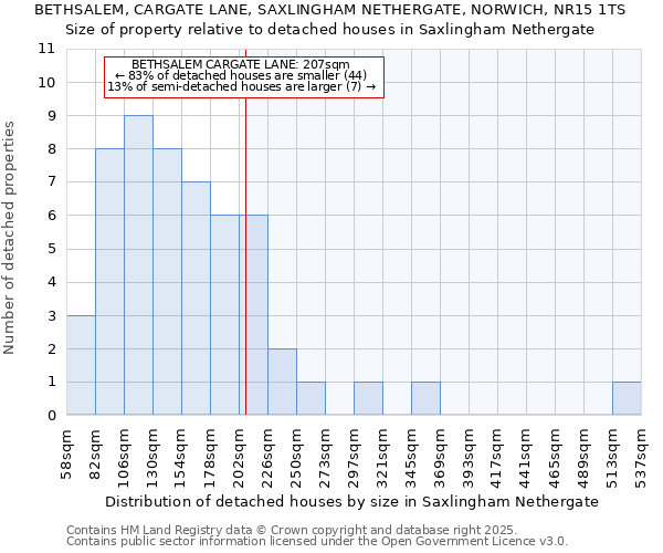 BETHSALEM, CARGATE LANE, SAXLINGHAM NETHERGATE, NORWICH, NR15 1TS: Size of property relative to detached houses in Saxlingham Nethergate