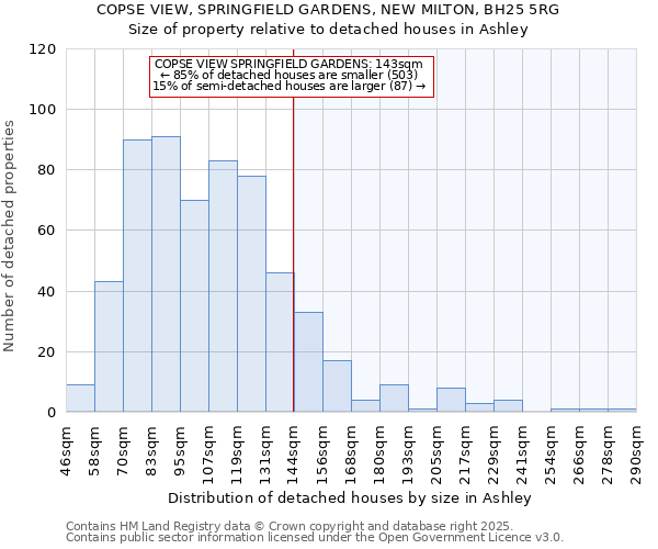 COPSE VIEW, SPRINGFIELD GARDENS, NEW MILTON, BH25 5RG: Size of property relative to detached houses in Ashley