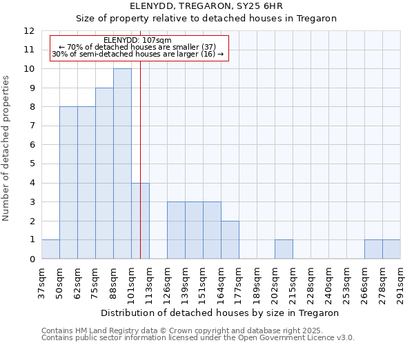 ELENYDD, TREGARON, SY25 6HR: Size of property relative to detached houses in Tregaron