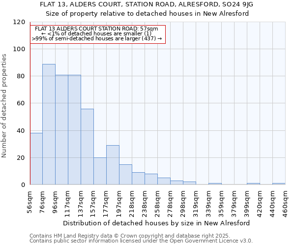 FLAT 13, ALDERS COURT, STATION ROAD, ALRESFORD, SO24 9JG: Size of property relative to detached houses in New Alresford