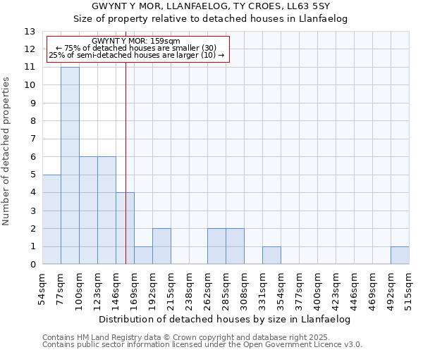 GWYNT Y MOR, LLANFAELOG, TY CROES, LL63 5SY: Size of property relative to detached houses in Llanfaelog