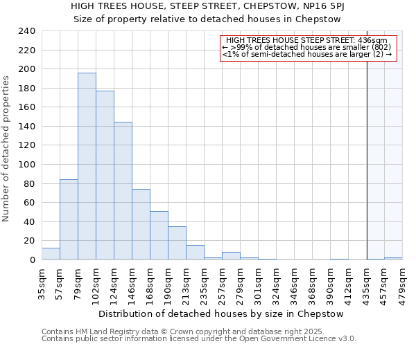 HIGH TREES HOUSE, STEEP STREET, CHEPSTOW, NP16 5PJ: Size of property relative to detached houses in Chepstow