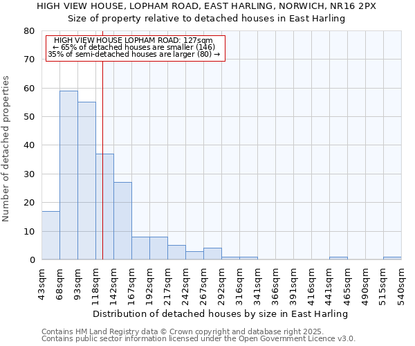 HIGH VIEW HOUSE, LOPHAM ROAD, EAST HARLING, NORWICH, NR16 2PX: Size of property relative to detached houses in East Harling