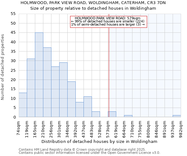 HOLMWOOD, PARK VIEW ROAD, WOLDINGHAM, CATERHAM, CR3 7DN: Size of property relative to detached houses in Woldingham