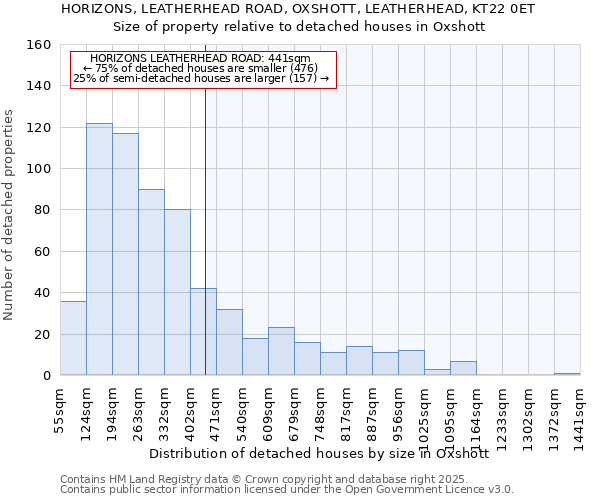 HORIZONS, LEATHERHEAD ROAD, OXSHOTT, LEATHERHEAD, KT22 0ET: Size of property relative to detached houses in Oxshott