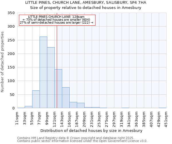 LITTLE PINES, CHURCH LANE, AMESBURY, SALISBURY, SP4 7HA: Size of property relative to detached houses in Amesbury