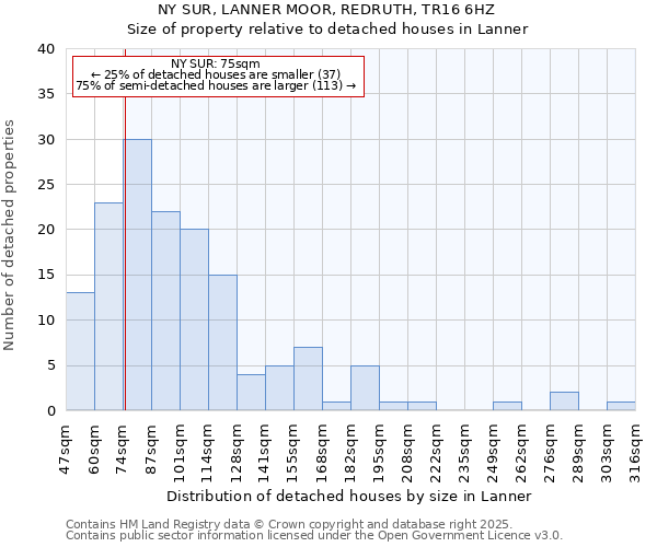 NY SUR, LANNER MOOR, REDRUTH, TR16 6HZ: Size of property relative to detached houses in Lanner