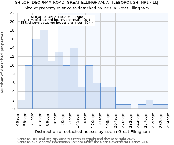 SHILOH, DEOPHAM ROAD, GREAT ELLINGHAM, ATTLEBOROUGH, NR17 1LJ: Size of property relative to detached houses in Great Ellingham