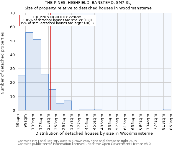 THE PINES, HIGHFIELD, BANSTEAD, SM7 3LJ: Size of property relative to detached houses in Woodmansterne