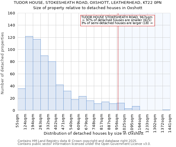 TUDOR HOUSE, STOKESHEATH ROAD, OXSHOTT, LEATHERHEAD, KT22 0PN: Size of property relative to detached houses in Oxshott