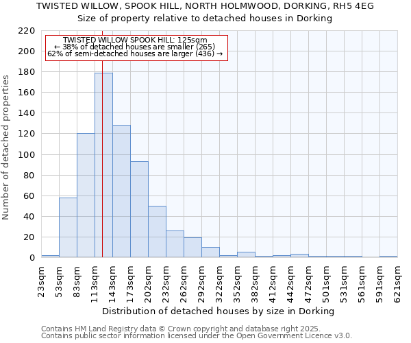 TWISTED WILLOW, SPOOK HILL, NORTH HOLMWOOD, DORKING, RH5 4EG: Size of property relative to detached houses in Dorking