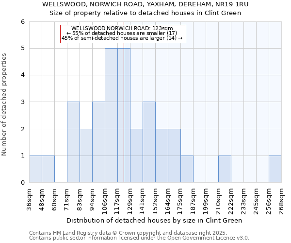 WELLSWOOD, NORWICH ROAD, YAXHAM, DEREHAM, NR19 1RU: Size of property relative to detached houses in Clint Green