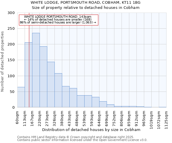 WHITE LODGE, PORTSMOUTH ROAD, COBHAM, KT11 1BG: Size of property relative to detached houses in Cobham