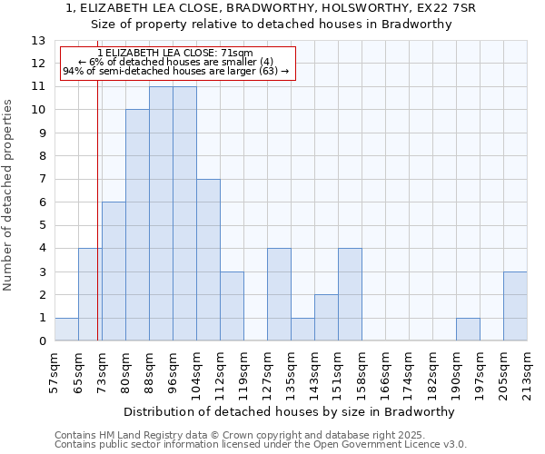 1, ELIZABETH LEA CLOSE, BRADWORTHY, HOLSWORTHY, EX22 7SR: Size of property relative to detached houses houses in Bradworthy