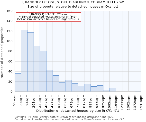 1, RANDOLPH CLOSE, STOKE D'ABERNON, COBHAM, KT11 2SW: Size of property relative to detached houses houses in Oxshott