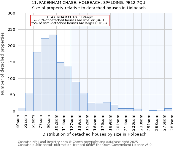 11, FAKENHAM CHASE, HOLBEACH, SPALDING, PE12 7QU: Size of property relative to detached houses houses in Holbeach