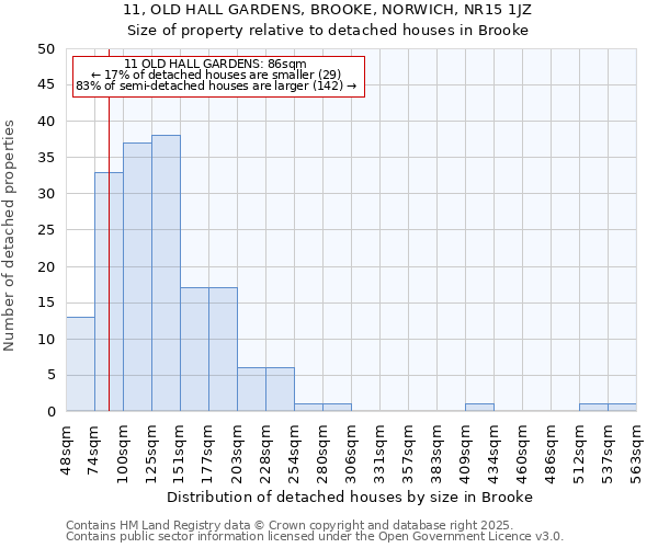 11, OLD HALL GARDENS, BROOKE, NORWICH, NR15 1JZ: Size of property relative to detached houses in Brooke