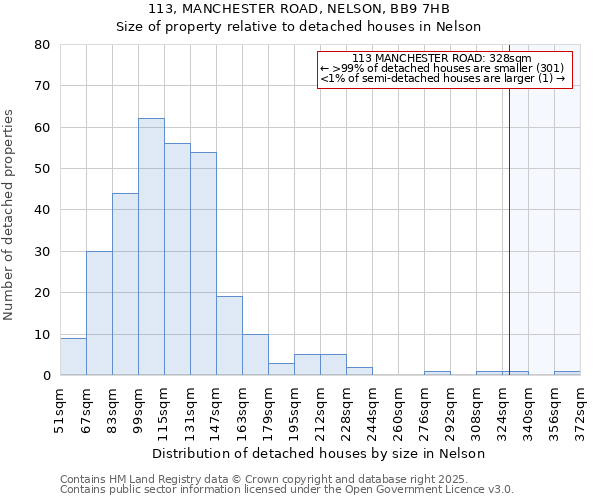 113, MANCHESTER ROAD, NELSON, BB9 7HB: Size of property relative to detached houses houses in Nelson