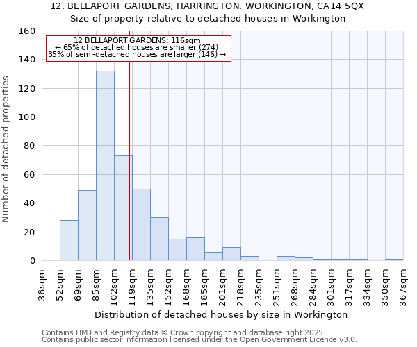 12, BELLAPORT GARDENS, HARRINGTON, WORKINGTON, CA14 5QX: Size of property relative to detached houses houses in Workington